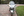 Zdjęcie 7 – Honda Goldwing GL1800