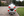 Zdjęcie 12 – Honda Goldwing GL1800